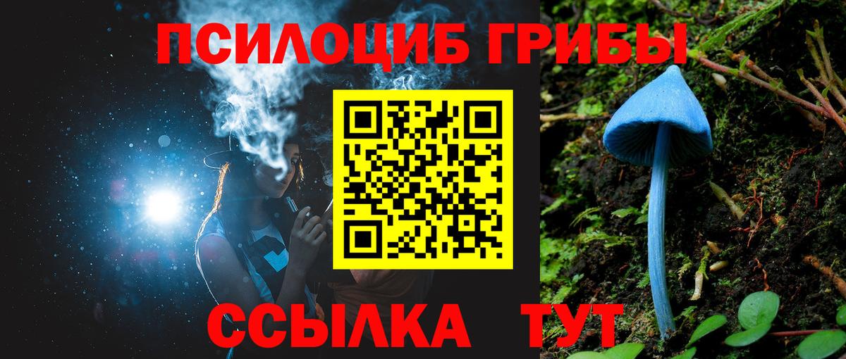 Королёв  Псилоцибиновые грибы мицелий  Вход с VPN 
